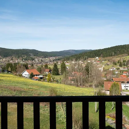 La Vue De Longemer Chalet *